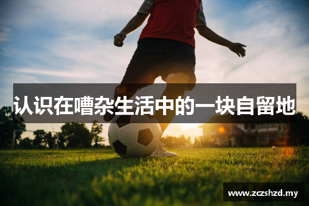 认识在嘈杂生活中的一块自留地